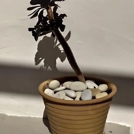 New In The City! * 코스 타운