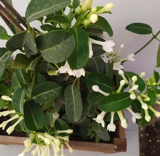 Casa de Férias New In The City!