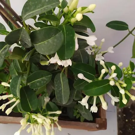 Dom wakacyjny New In The City!